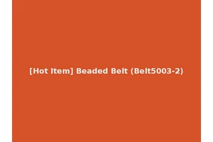 [Hot Item] Beaded Belt (Belt5003-2)