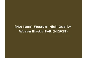 [Hot Item] Western High Quality Woven Elastic Belt (HJ2918)