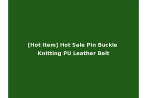 [Hot Item] Hot Sale Pin Buckle Knitting PU Leather Belt