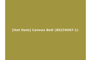 [Hot Item] Canvas Belt (BELT6007-1)