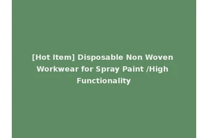 [Hot Item] Disposable Non Woven Workwear for Spray Paint /High Functionality