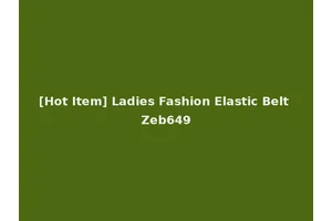 [Hot Item] Ladies Fashion Elastic Belt Zeb649