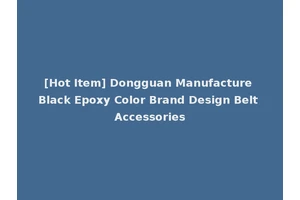 [Hot Item] Dongguan Manufacture Black Epoxy Color Brand Design Belt Accessories
