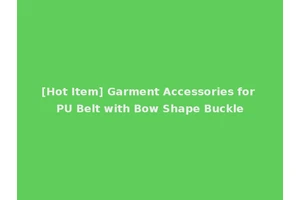 [Hot Item] Garment Accessories for PU Belt with Bow Shape Buckle