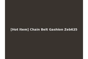 [Hot Item] Chain Belt Gashion Zeb625