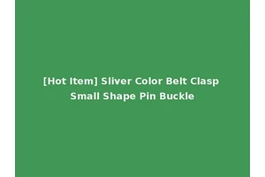 [Hot Item] Sliver Color Belt Clasp Small Shape Pin Buckle