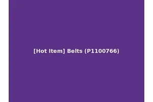 [Hot Item] Belts (P1100766)
