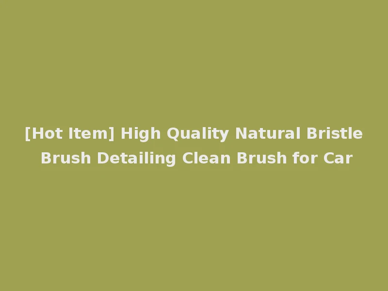 [Hot Item] High Quality Natural Bristle Brush Detailing Clean Brush for Car