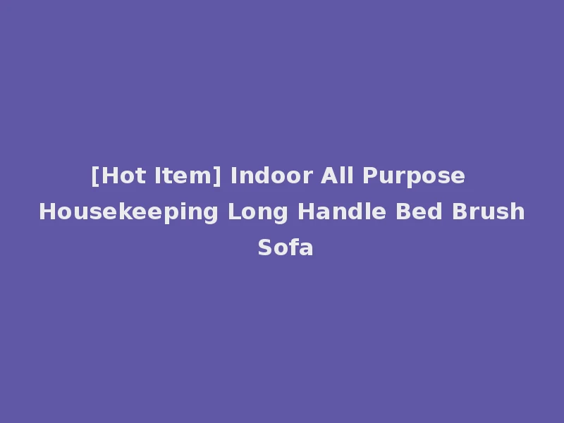 [Hot Item] Indoor All Purpose Housekeeping Long Handle Bed Brush Sofa