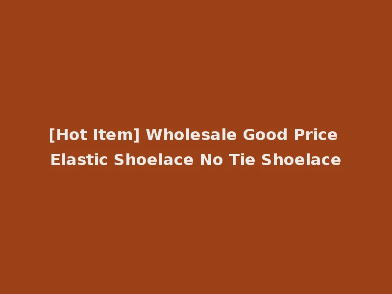 [Hot Item] Wholesale Good Price Elastic Shoelace No Tie Shoelace