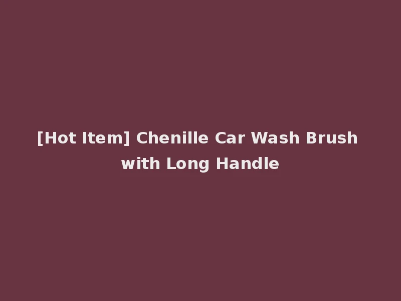 [Hot Item] Chenille Car Wash Brush with Long Handle