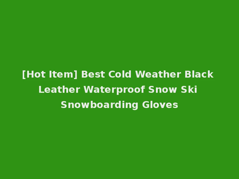 [Hot Item] Best Cold Weather Black Leather Waterproof Snow Ski Snowboarding Gloves