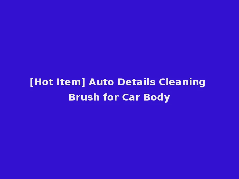 [Hot Item] Auto Details Cleaning Brush for Car Body