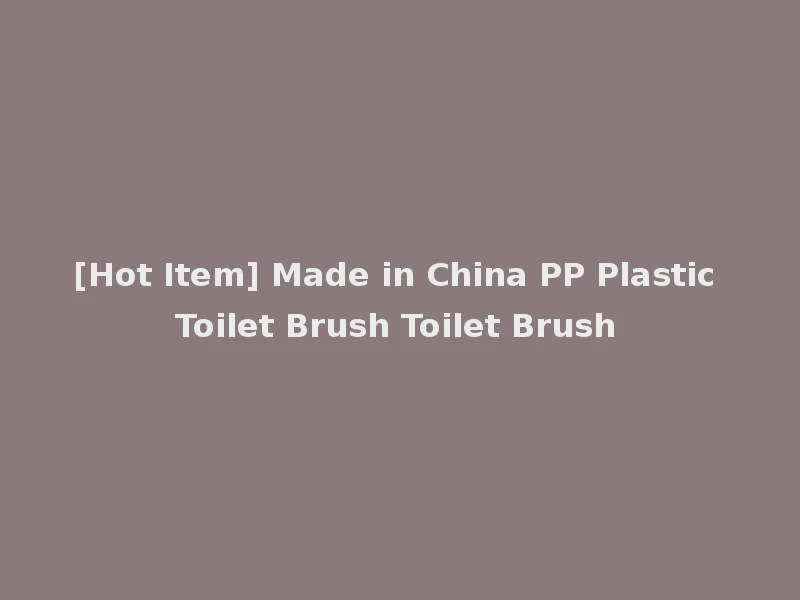 [Hot Item] Made in China PP Plastic Toilet Brush Toilet Brush