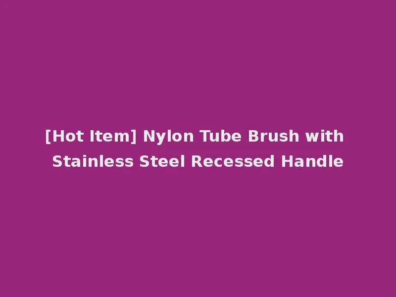 [Hot Item] Nylon Tube Brush with Stainless Steel Recessed Handle