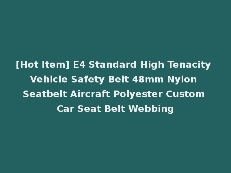 [Hot Item] E4 Standard High Tenacity Vehicle Safety Belt 48mm Nylon Seatbelt Aircraft Polyester Custom Car Seat Belt Webbing