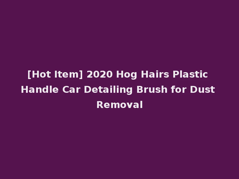 [Hot Item] 2020 Hog Hairs Plastic Handle Car Detailing Brush for Dust Removal