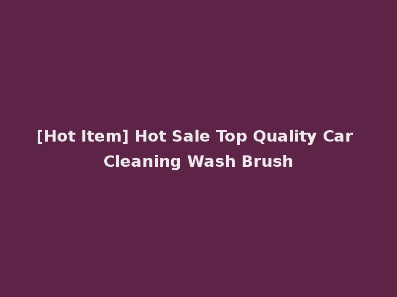 [Hot Item] Hot Sale Top Quality Car Cleaning Wash Brush