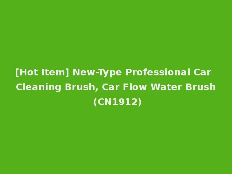 [Hot Item] New-Type Professional Car Cleaning Brush, Car Flow Water Brush (CN1912)