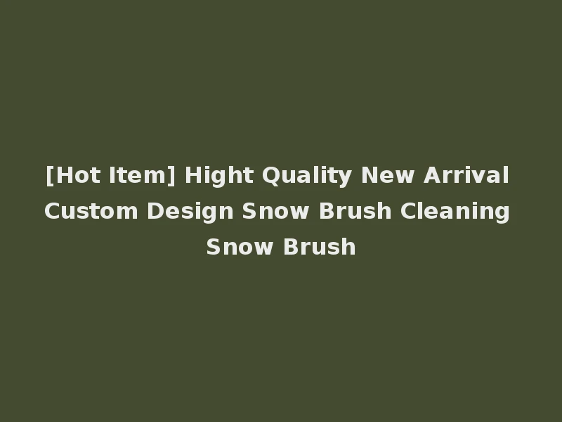 [Hot Item] Hight Quality New Arrival Custom Design Snow Brush Cleaning Snow Brush