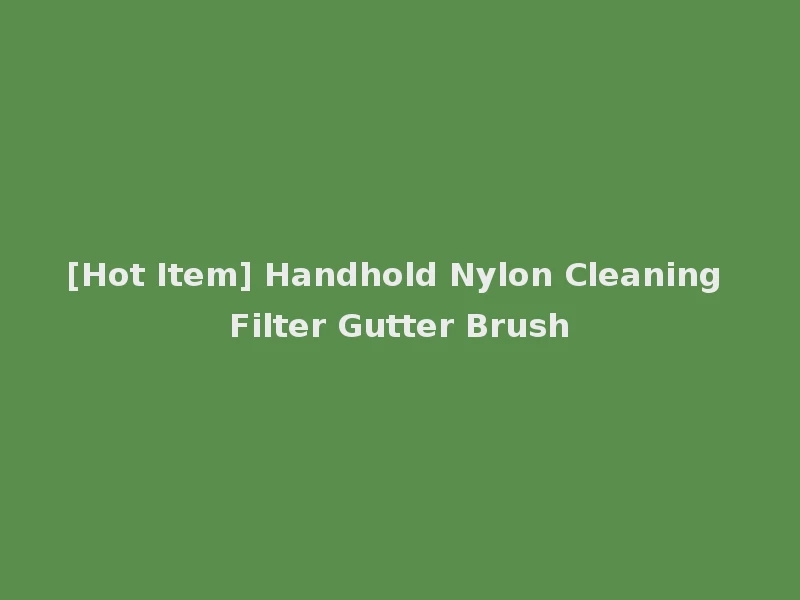 [Hot Item] Handhold Nylon Cleaning Filter Gutter Brush