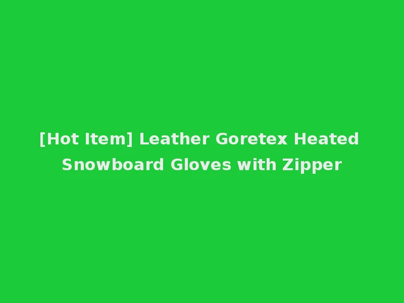 [Hot Item] Leather Goretex Heated Snowboard Gloves with Zipper