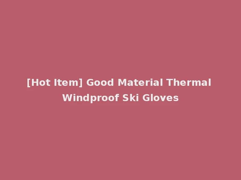 [Hot Item] Good Material Thermal Windproof Ski Gloves