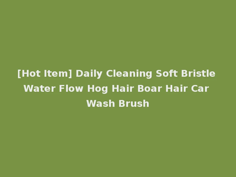 [Hot Item] Daily Cleaning Soft Bristle Water Flow Hog Hair Boar Hair Car Wash Brush