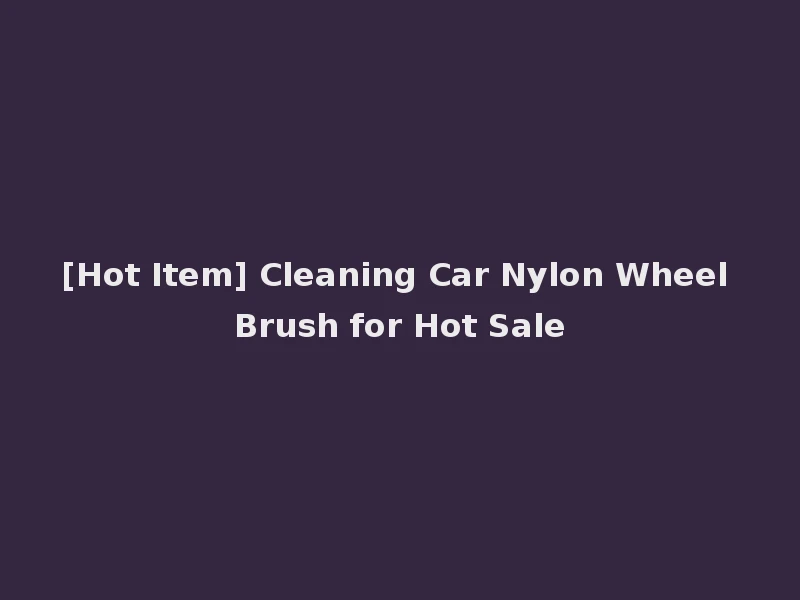 [Hot Item] Cleaning Car Nylon Wheel Brush for Hot Sale