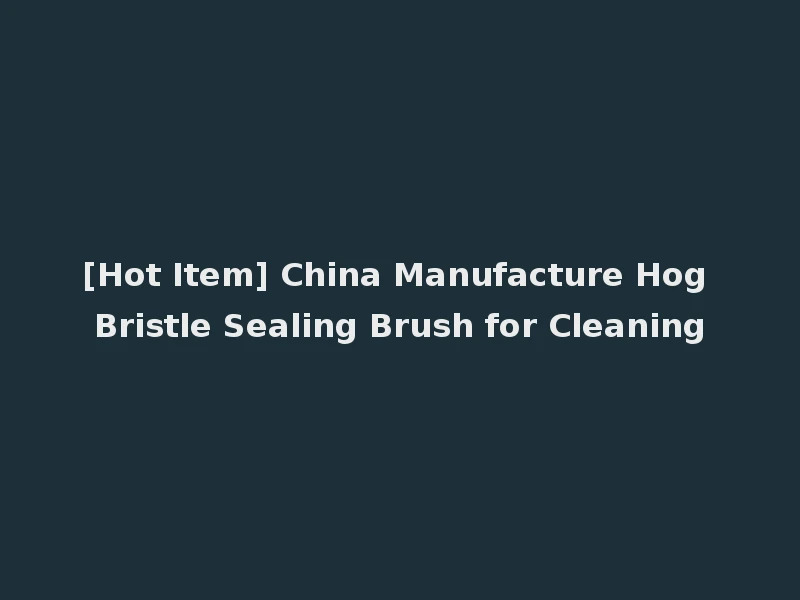 [Hot Item] China Manufacture Hog Bristle Sealing Brush for Cleaning