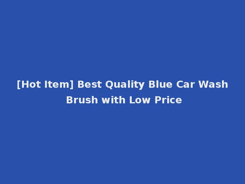 [Hot Item] Best Quality Blue Car Wash Brush with Low Price