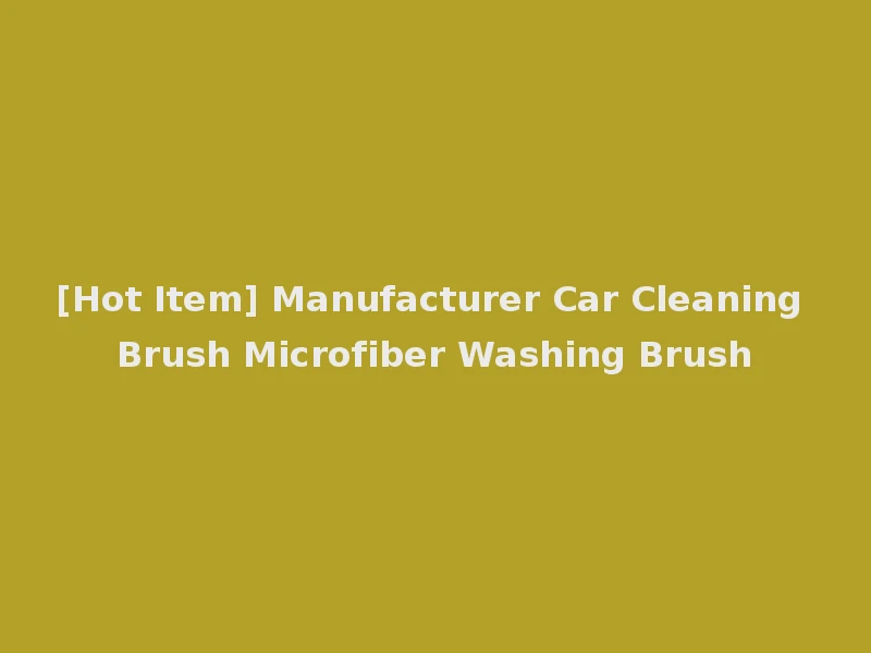 [Hot Item] Manufacturer Car Cleaning Brush Microfiber Washing Brush