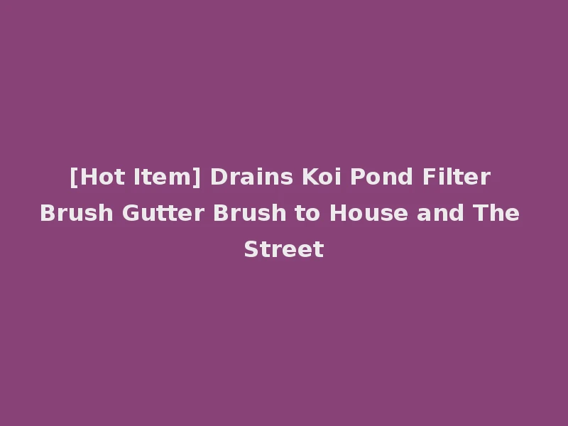 [Hot Item] Drains Koi Pond Filter Brush Gutter Brush to House and The Street