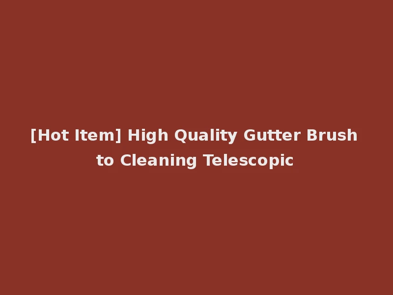 [Hot Item] High Quality Gutter Brush to Cleaning Telescopic