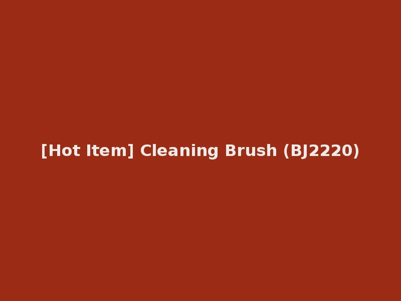 [Hot Item] Cleaning Brush (BJ2220)