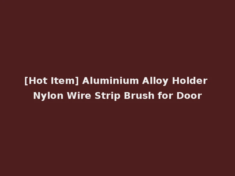 [Hot Item] Aluminium Alloy Holder Nylon Wire Strip Brush for Door