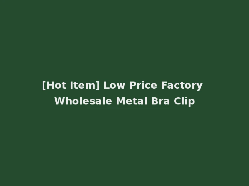 [Hot Item] Low Price Factory Wholesale Metal Bra Clip