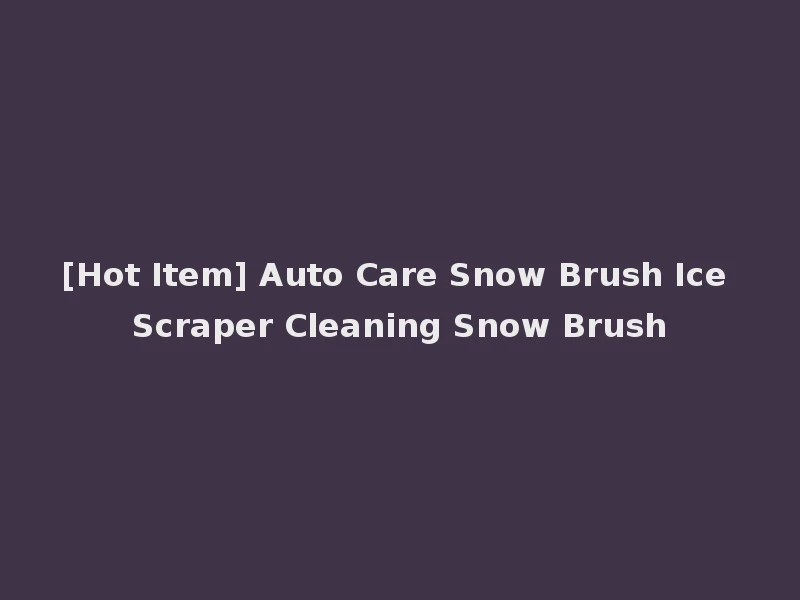 [Hot Item] Auto Care Snow Brush Ice Scraper Cleaning Snow Brush