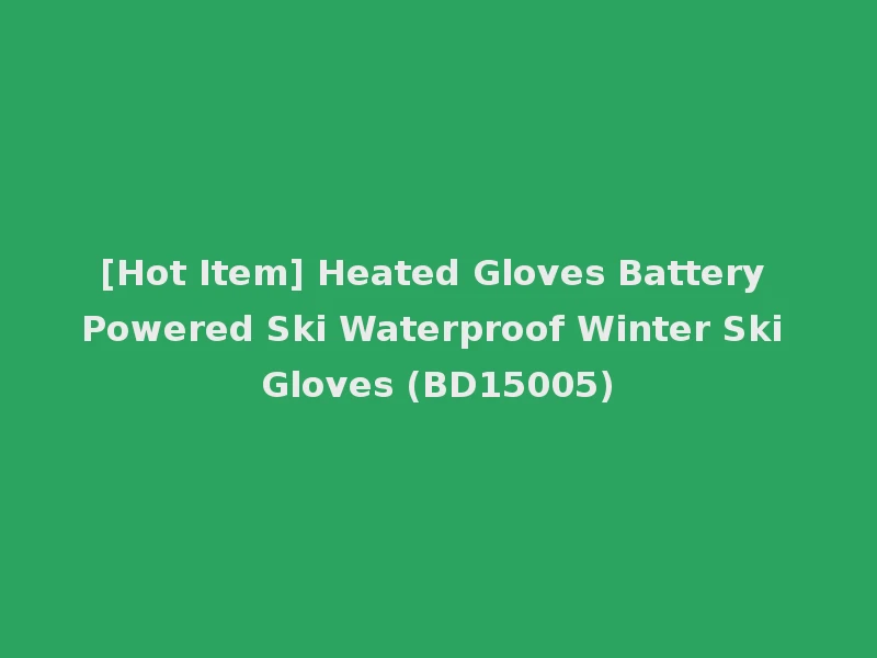 [Hot Item] Heated Gloves Battery Powered Ski Waterproof Winter Ski Gloves (BD15005)