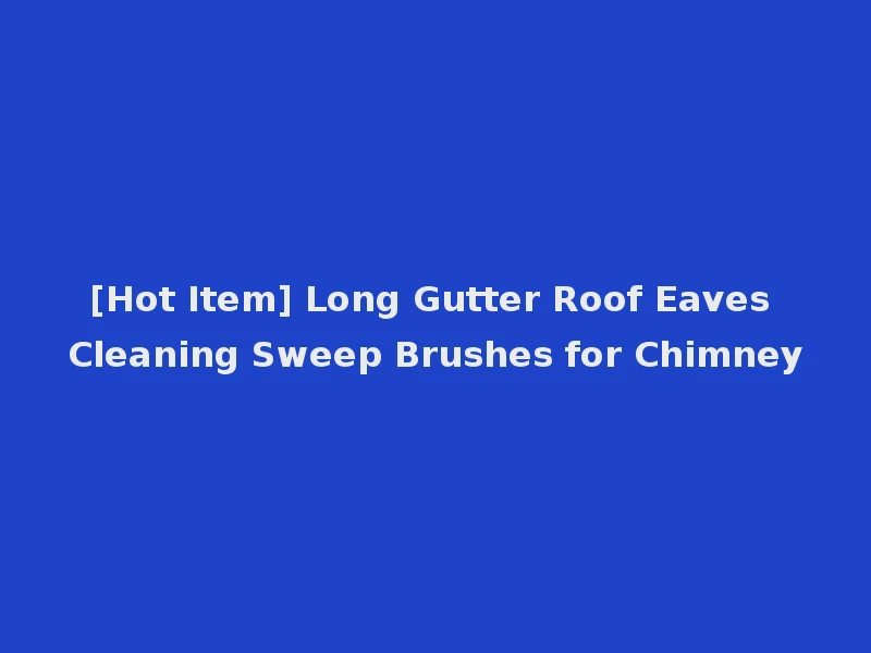 [Hot Item] Long Gutter Roof Eaves Cleaning Sweep Brushes for Chimney