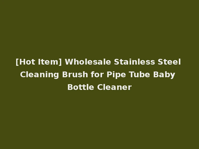 [Hot Item] Wholesale Stainless Steel Cleaning Brush for Pipe Tube Baby Bottle Cleaner