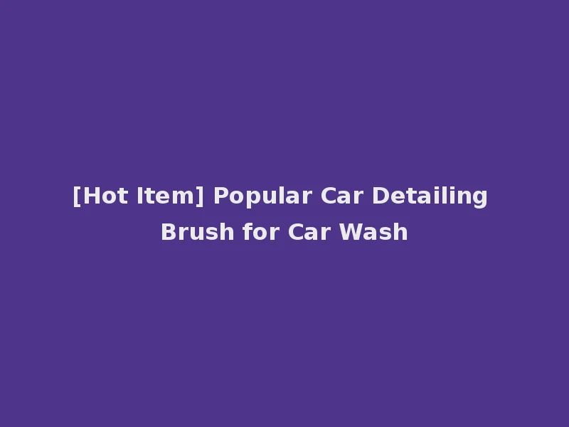 [Hot Item] Popular Car Detailing Brush for Car Wash