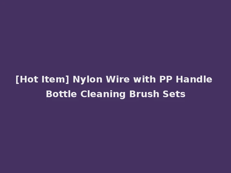 [Hot Item] Nylon Wire with PP Handle Bottle Cleaning Brush Sets