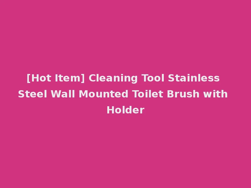 [Hot Item] Cleaning Tool Stainless Steel Wall Mounted Toilet Brush with Holder