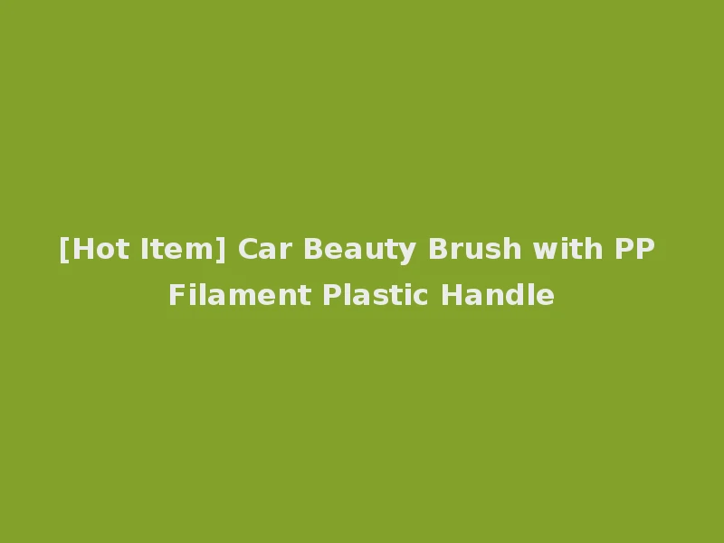 [Hot Item] Car Beauty Brush with PP Filament Plastic Handle