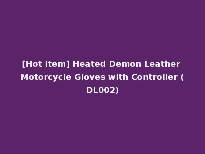 [Hot Item] Heated Demon Leather Motorcycle Gloves with Controller (DL002)