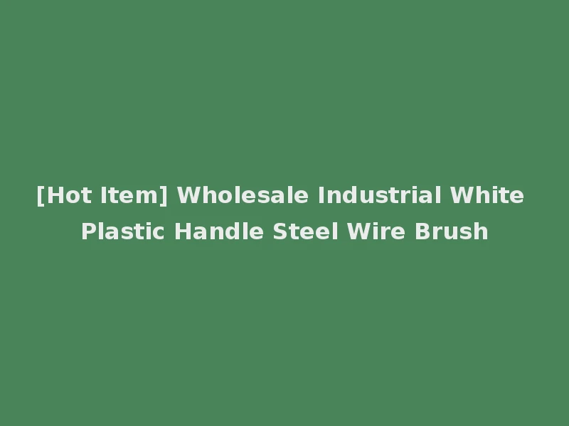 [Hot Item] Wholesale Industrial White Plastic Handle Steel Wire Brush