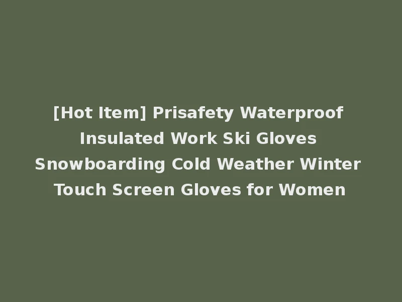 [Hot Item] Prisafety Waterproof Insulated Work Ski Gloves Snowboarding Cold Weather Winter Touch Screen Gloves for Women