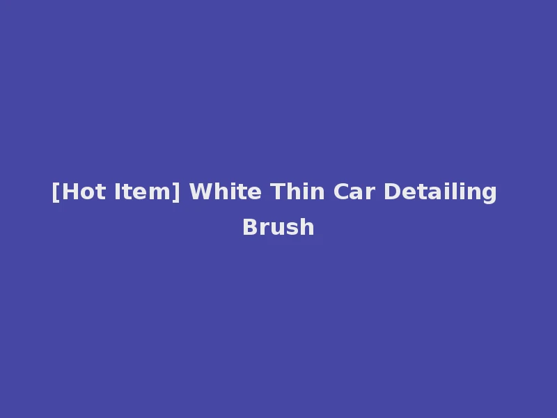 [Hot Item] White Thin Car Detailing Brush