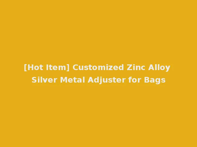[Hot Item] Customized Zinc Alloy Silver Metal Adjuster for Bags